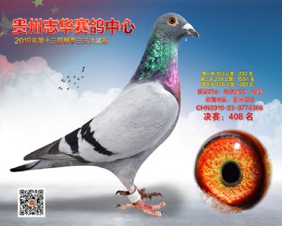 贵州志华决赛408名