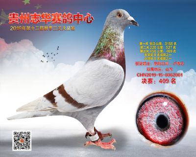贵州志华决赛409名