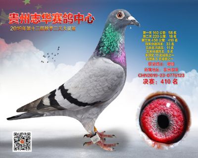 贵州志华决赛410名