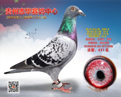 贵州志华决赛411名