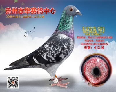 贵州志华决赛412名