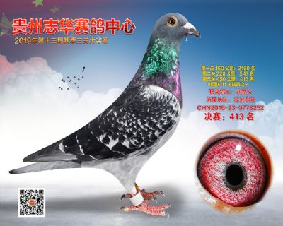 贵州志华决赛413名