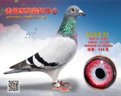 贵州志华决赛414名