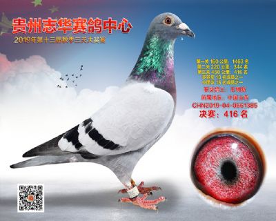 贵州志华决赛416名