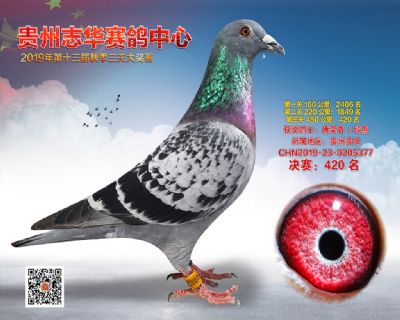贵州志华决赛420名