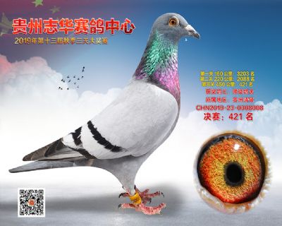 贵州志华决赛421名