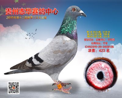 贵州志华决赛423名