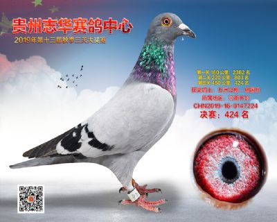 贵州志华决赛424名