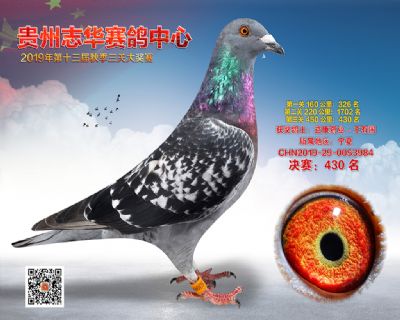 贵州志华决赛430名