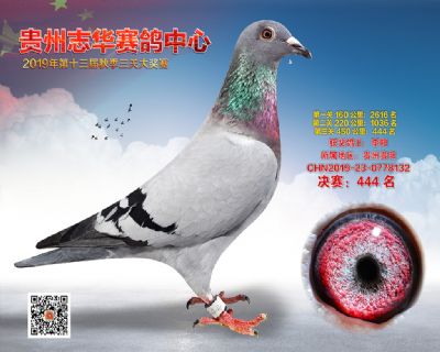 贵州志华决赛444名