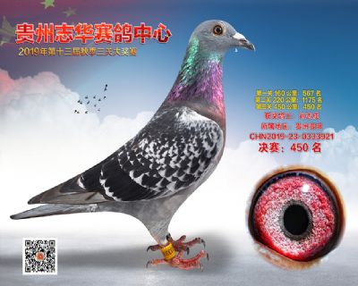 贵州志华决赛450名