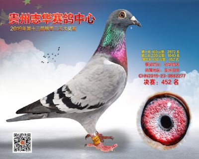 贵州志华决赛452名