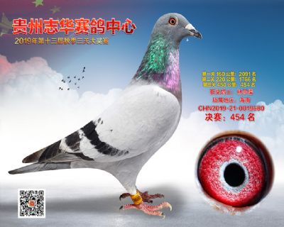 贵州志华决赛454名
