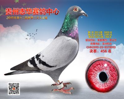 贵州志华决赛456名