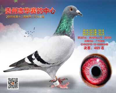 贵州志华决赛469名