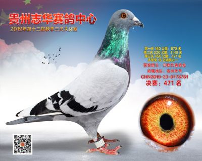 贵州志华决赛471名