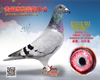 贵州志华决赛472名