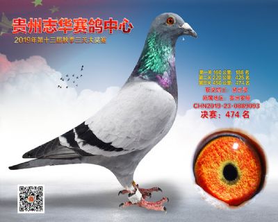 贵州志华决赛474名