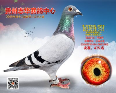 贵州志华决赛475名