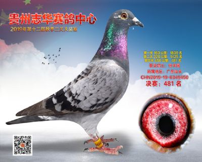 贵州志华决赛481名
