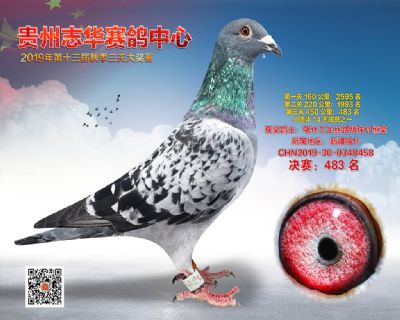 贵州志华决赛483名