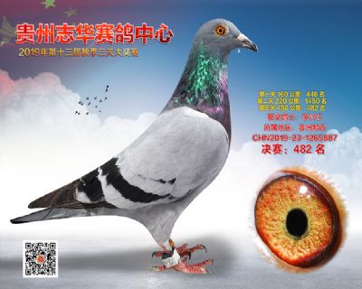 贵州志华决赛482名