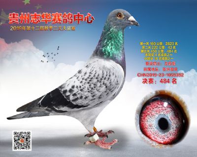 贵州志华决赛484名