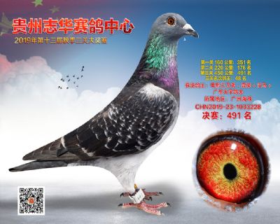 贵州志华决赛491名