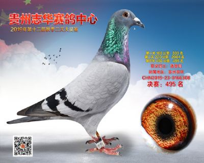 贵州志华决赛495名