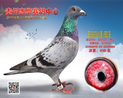 贵州志华决赛498名