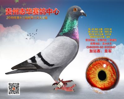 贵州志华加站赛亚军