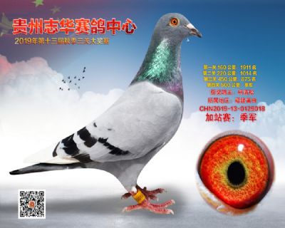 贵州志华加站赛季军