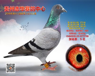 贵州志华加站赛5名