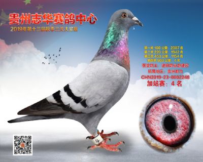 贵州志华加站赛4名