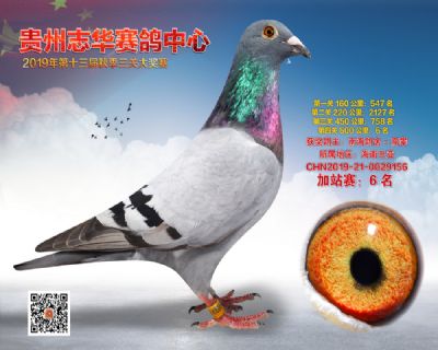 贵州志华加站赛6名