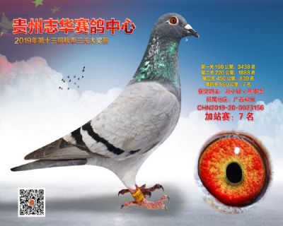 贵州志华加站赛7名