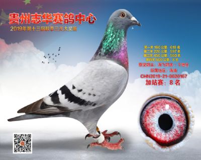 贵州志华加站赛8名
