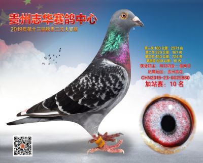 贵州志华加站赛10名