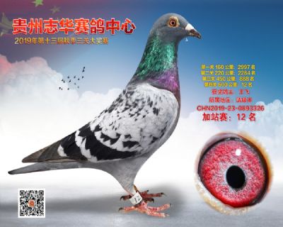 贵州志华加站赛12名
