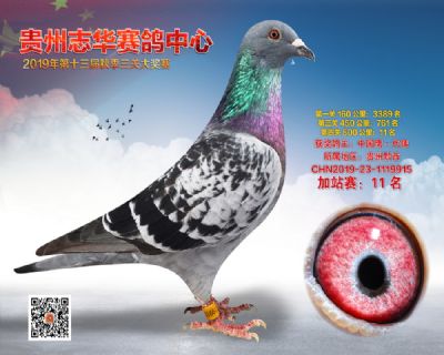 贵州志华加站赛11名