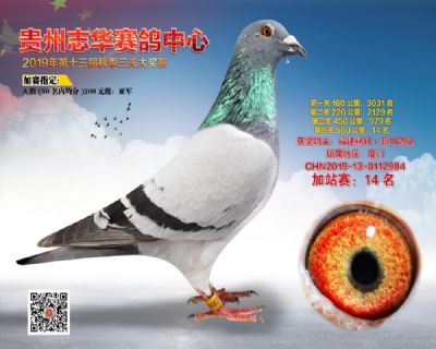 贵州志华加站赛14名