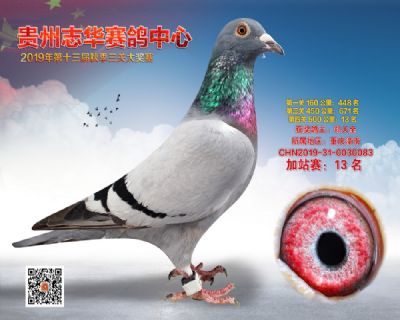 贵州志华加站赛13名