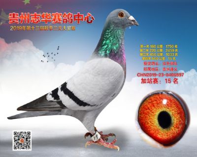 贵州志华加站赛15名