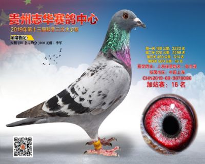 贵州志华加站赛16名
