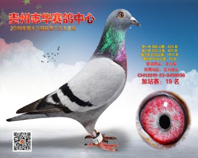 贵州志华加站赛19名