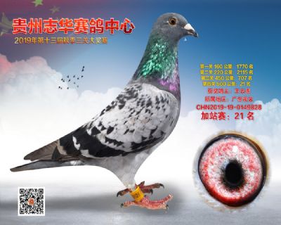 贵州志华加站赛21名