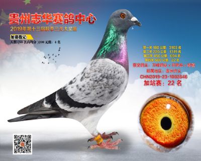 贵州志华加站赛22名