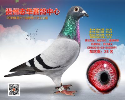 贵州志华加站赛23名