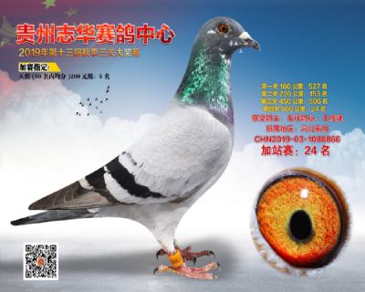 贵州志华加站赛24名