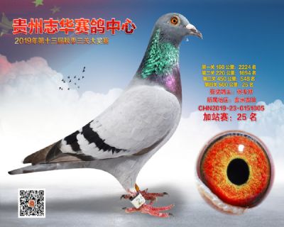 贵州志华加站赛25名